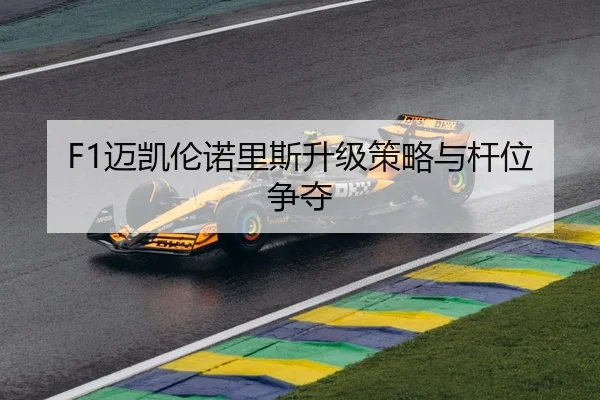 F1迈凯伦诺里斯升级策略与杆位争夺