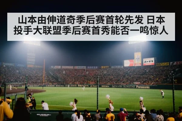 baseball stadium night game