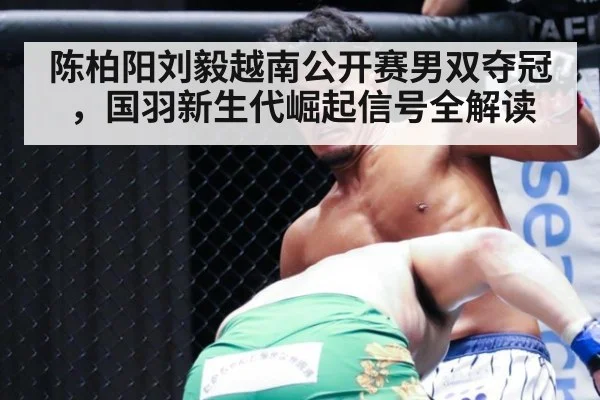 陈柏阳刘毅越南公开赛男双夺冠，国羽新生代崛起信号全解读